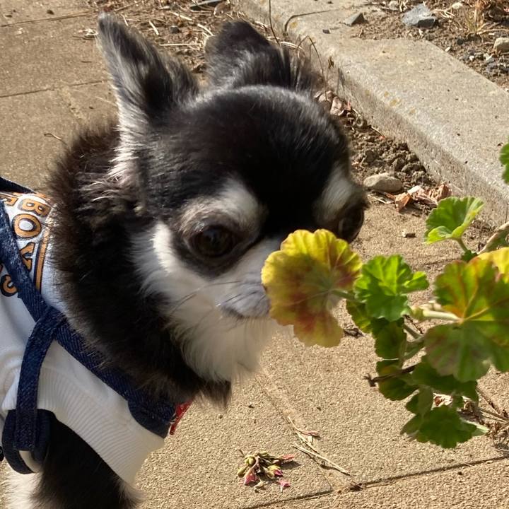 8844b574 cf9b 4033 b402 6b2cae2ec4ad 1670753674915