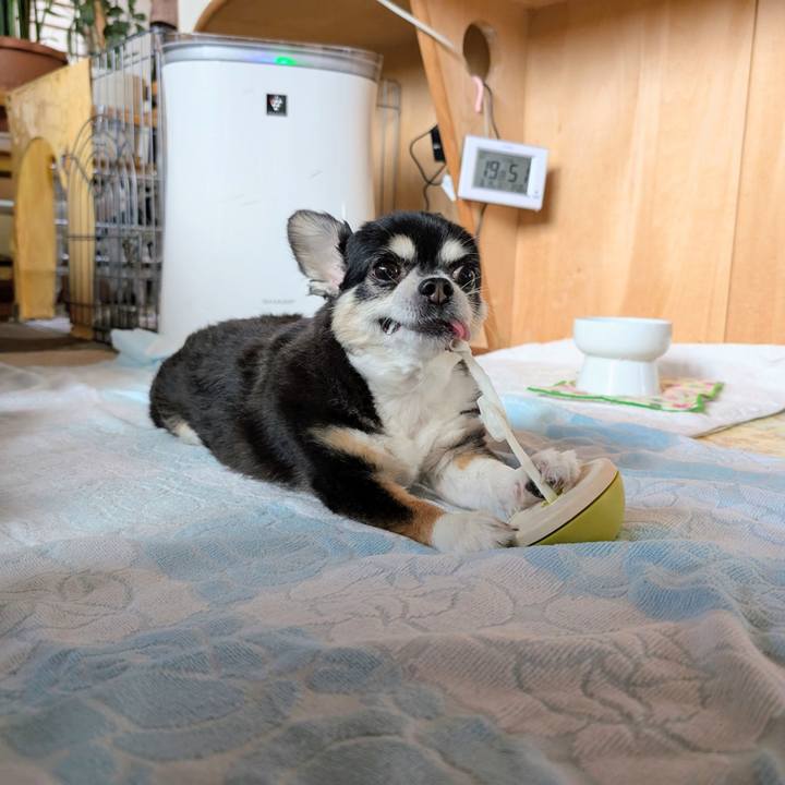 8844c05f 1fb4 4024 a3f8 3ba2d34a7300 1773558440021