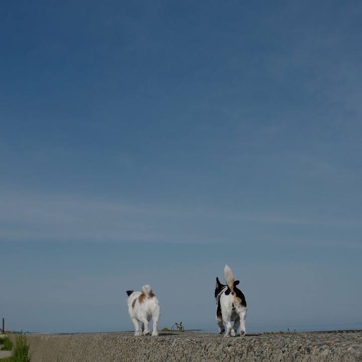 8844d80b 2c89 4589 ac00 5c467e5227c8 1526877553166