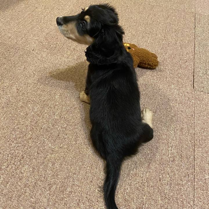 88451abd c868 4b19 9d70 c5c3a961dcfc 1665128978706