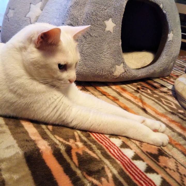 884558b7 60e7 45b6 b35d 2334e6295049 1547515243826