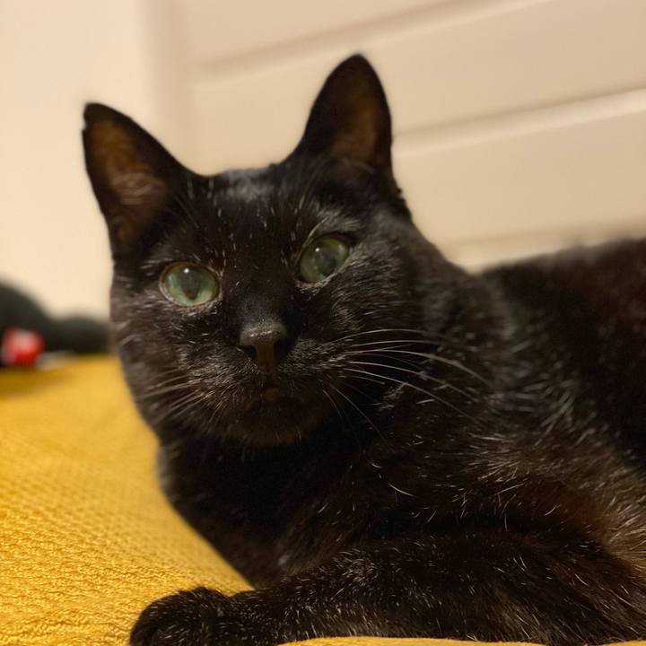 884560c6 5e20 4795 8672 a9ecfd0a1813 1613823261813