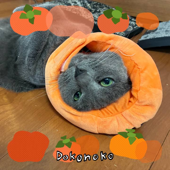 884581d1 b24e 4cd9 a24b 262f315364a4 1761126826781