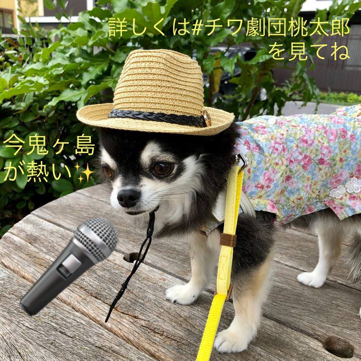 88461a47 a911 4c67 9427 0a35c33b7ab5 1594349962056