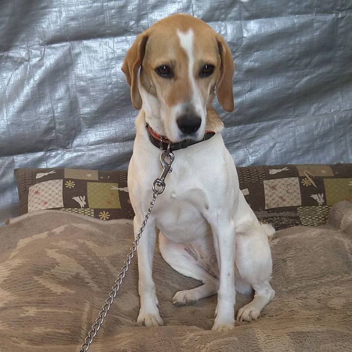 88465992 34cc 408b 9169 473cab1ddcb4 1622610503511