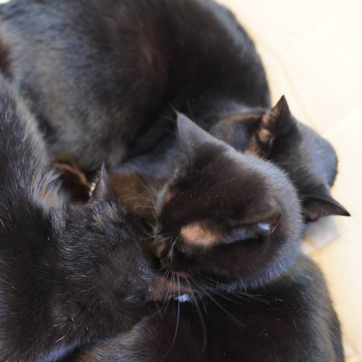 88469ffe bc02 42b9 8c44 cf33a7bd1717 1634878343479