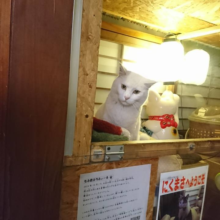 8846ad0c 10bf 4e05 92f0 f3ab5a4c4e7b 1520684615297