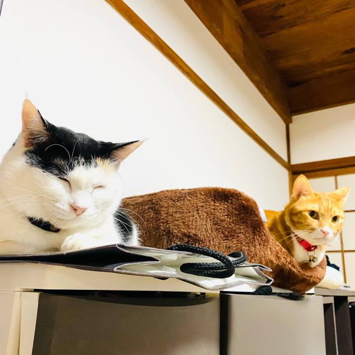 8846b4eb 578b 4995 a2af dd1b40d2ff5e 1697578599687