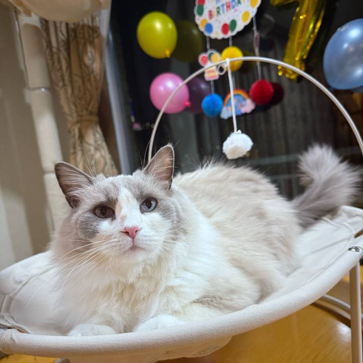 8846d985 fc27 46c5 8381 39046959ba68 1735208999564