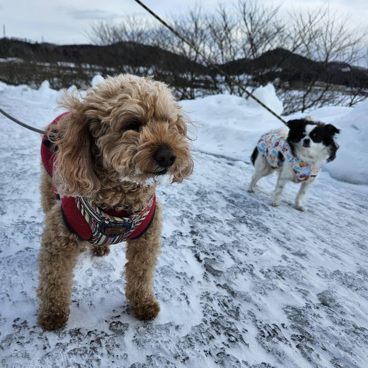 8847016a 13c3 4822 94a7 cbbace14eddf 1770508648356