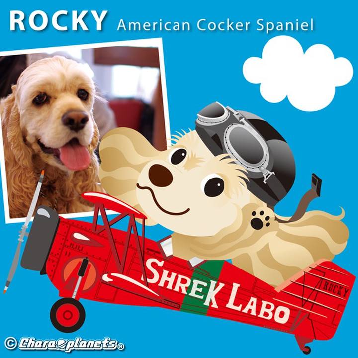 884704ee 7952 4649 82c3 6be28f0c678f 1568722362074