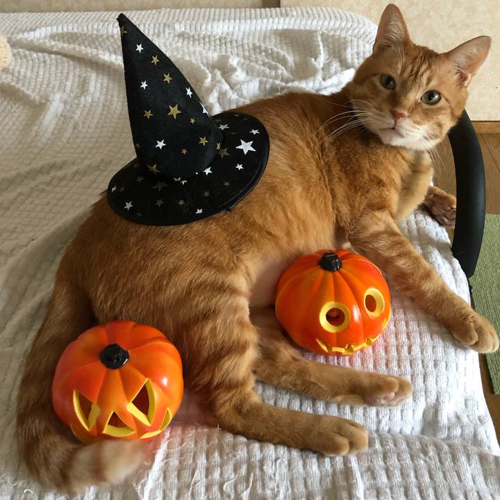 88470aff 30d5 47e1 a733 a08d9f596c0c 1635631305037