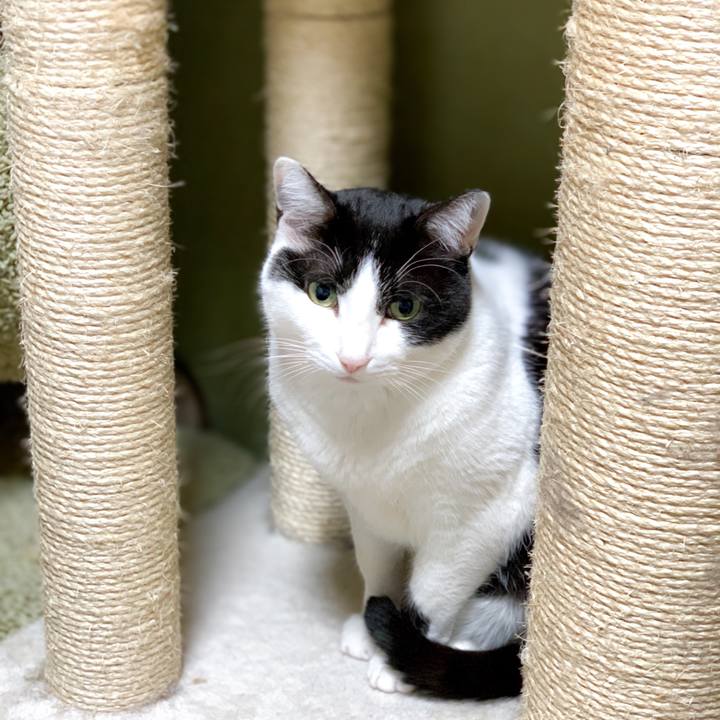 8847104f 721b 4815 92ef f4fc3b488763 1587267707143