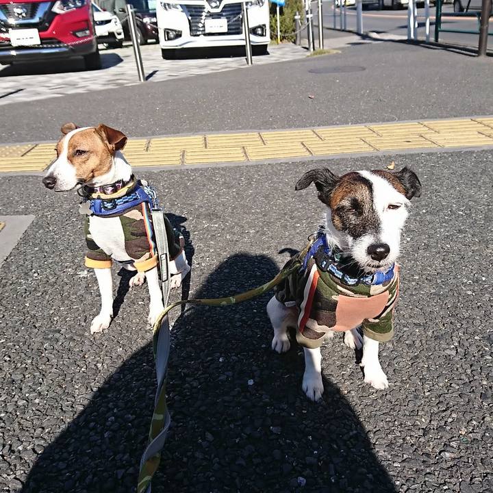 884775e7 2171 466e bb37 1973b85d335d 1544840691455