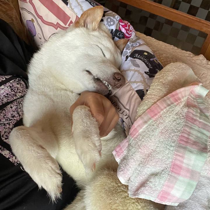 88478f55 9be9 4067 af88 54bc53e56183 1658560219569