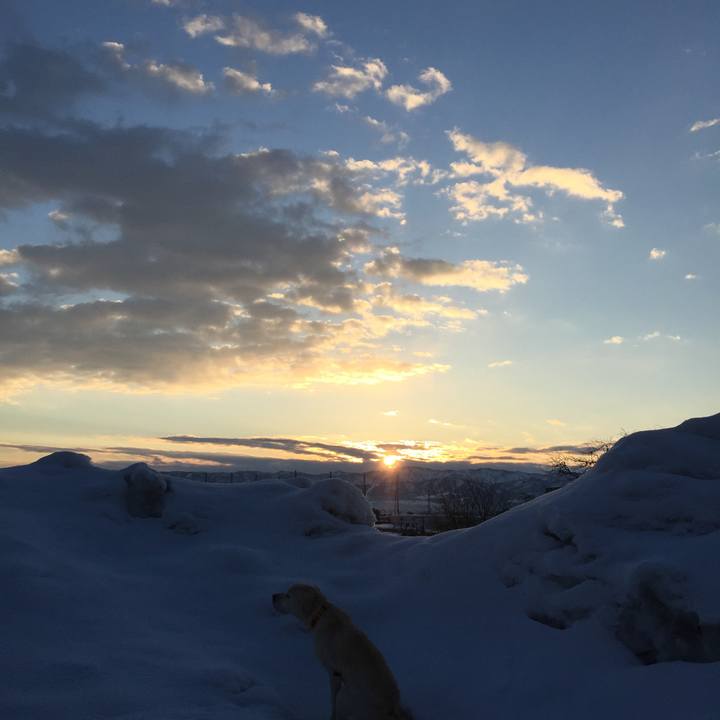 8847d4ca 3762 4305 aac4 81c34980b090 1519337165073