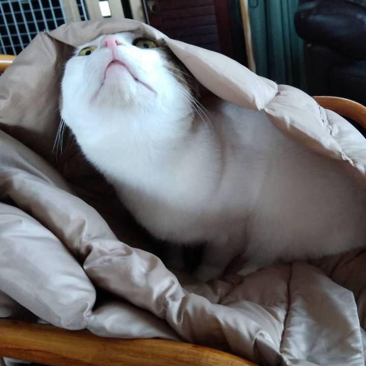 88481453 3b84 4a1e 9d4f 46b8e00abcc1 1703237222023