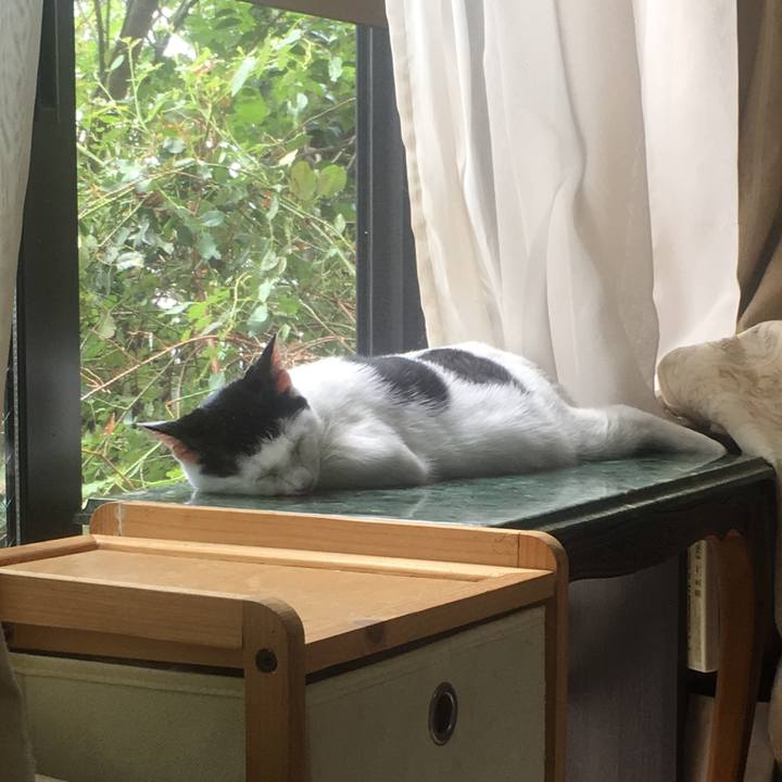 884818bc efd4 4fa3 a244 55b8e46efc5b 1536541948456