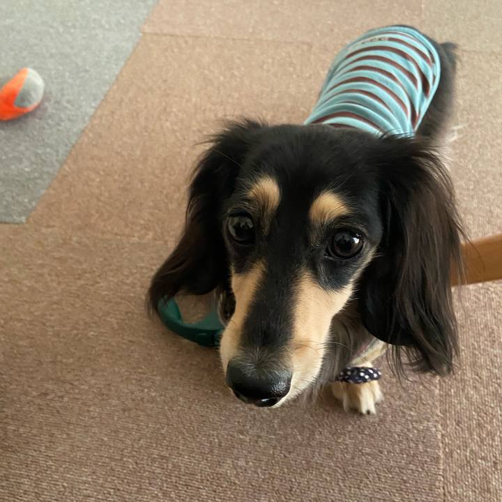 88481f01 99d9 4489 a69b 2d8564779d7a 1740629783964