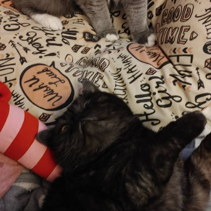 88487ead 0174 4014 b902 046c65c2f755 1615690252168