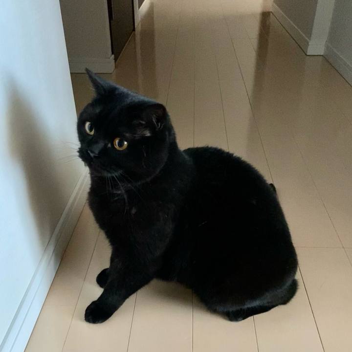 884894d6 cbb6 41b7 88c4 0a07b4e0bc2d 1654313860984