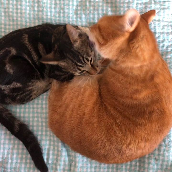 8848c993 7277 4c1a b876 83bd64eb1763 1736316494386