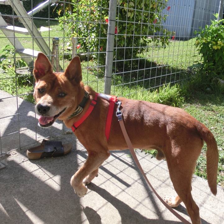 8848eb7a e273 49a7 81ca b07d7e68e8a2 1659969328318