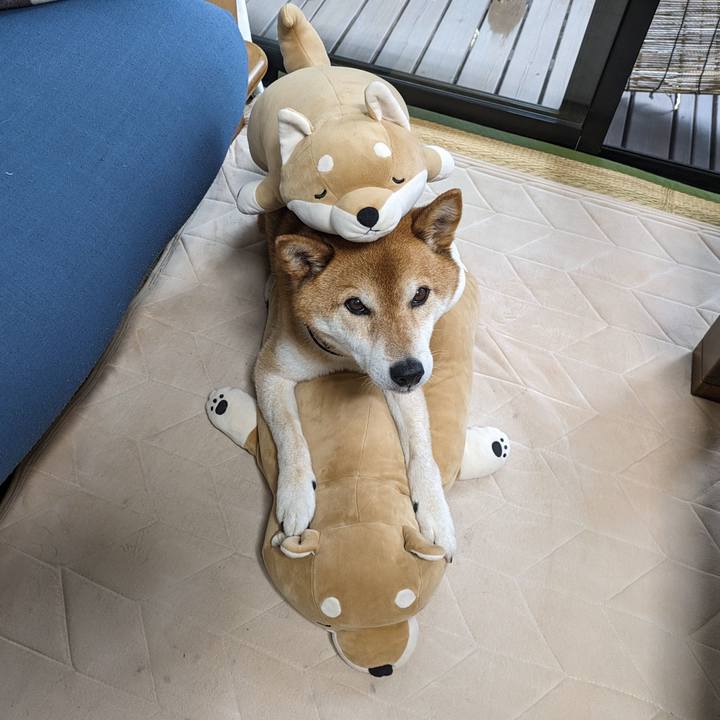 88490293 bbeb 456f 840d c0de306ee8d4 1717143853907