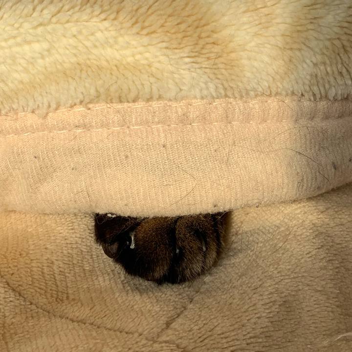 88490c0f ad18 450c bfca 613437b3772d 1587690777704