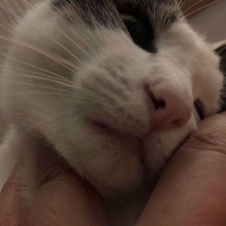 884935fe 6e2f 4ebb b546 67b5079545dd 1631109802834