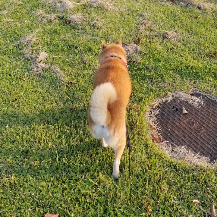 88497f65 39db 4793 bf3a cb560983147f 1728977412196