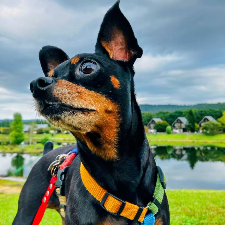 8849cd43 ac2a 447a af82 623554457652 1728161871325