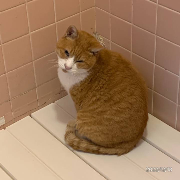 8849d141 2275 449c a0a2 bcf5dbf52e42 1670934743308