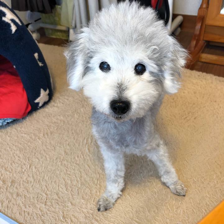 8849f1fa 7144 4234 a8e3 843941baefd3 1623382195535