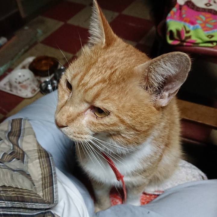 884a126d c536 44ed a207 2bb42dadbf00 1570393921898