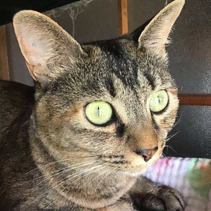 884a19e2 4694 4d5e b71a 27e17e56c876 1658977000161