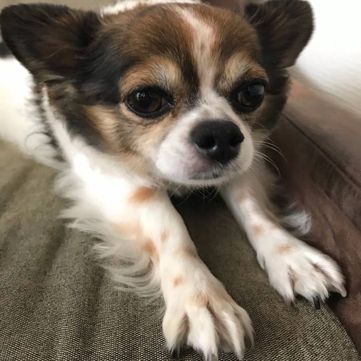 884a1c00 dd2a 4ddb 8ff7 04dcb246c3a7 1597627570158