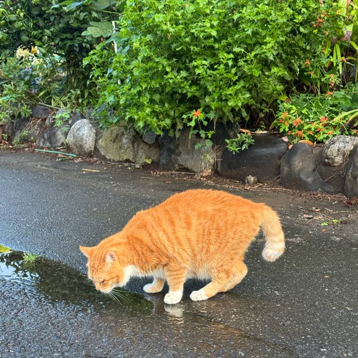 884a2990 081c 47ec 839e 8bfe0fe634af 1758416072651