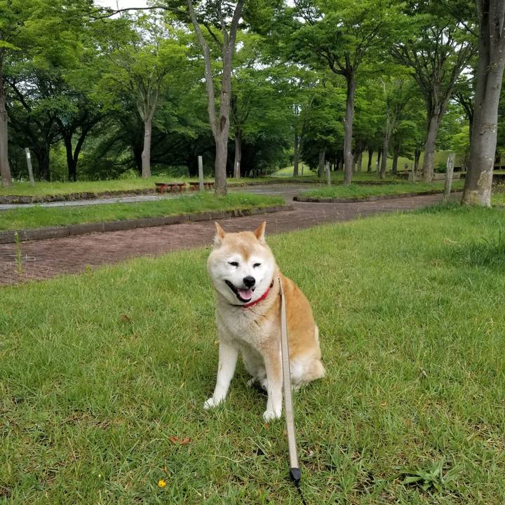 884a832b 0390 4226 a664 49912e3042ba 1718692823261