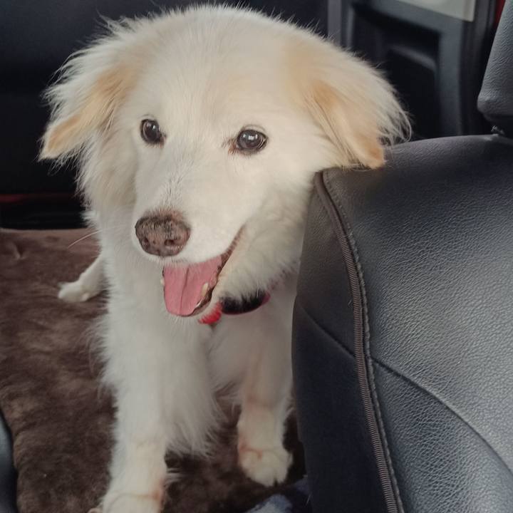 884a9703 bd05 439b 9ed5 5d1f69436426 1752811378864