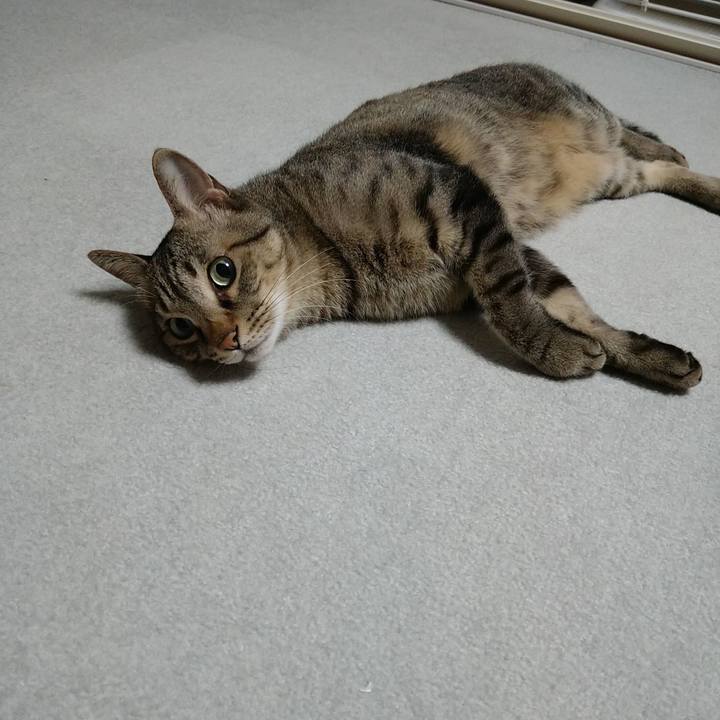 884abb03 6a23 45e4 867e 19f9c9c5c3b7 1696351976888