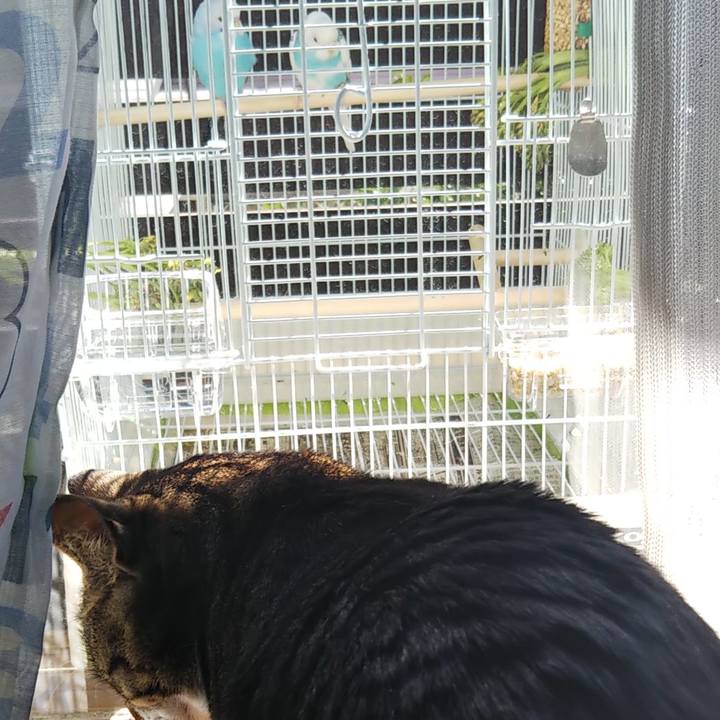 884ae7a7 377d 40aa b554 c6e06ffc9e09 1613696898609