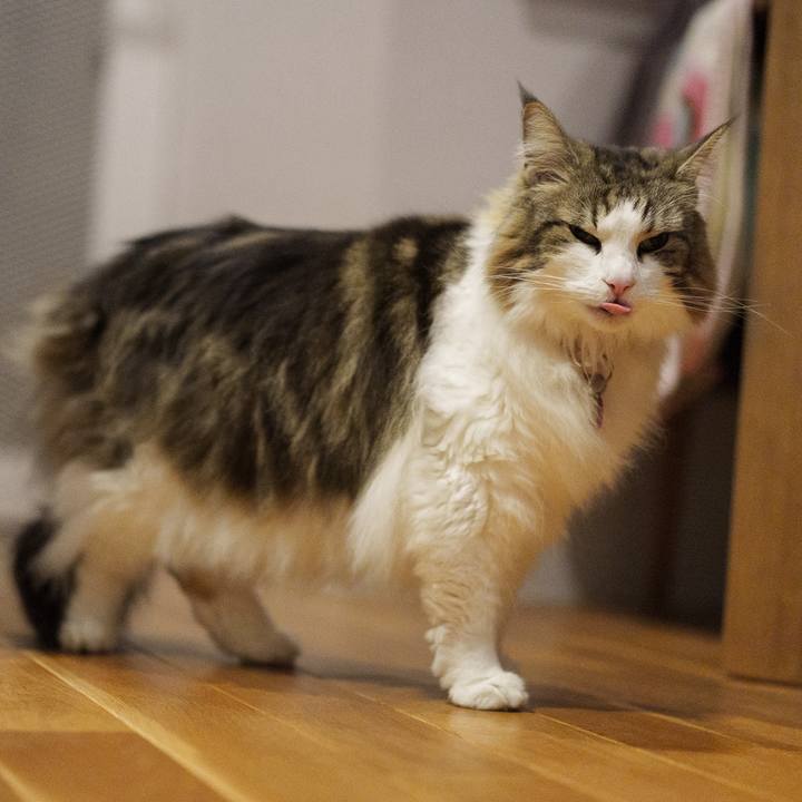 884b04ef 24b1 4cf1 939d 38c36cba0d54 1708341728003