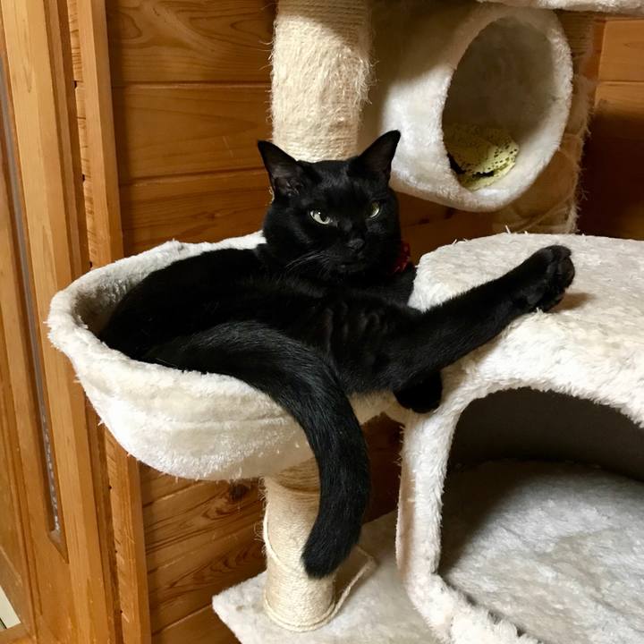 884b7903 436e 4ea4 b215 8ad89e1d68f6 1531664115020