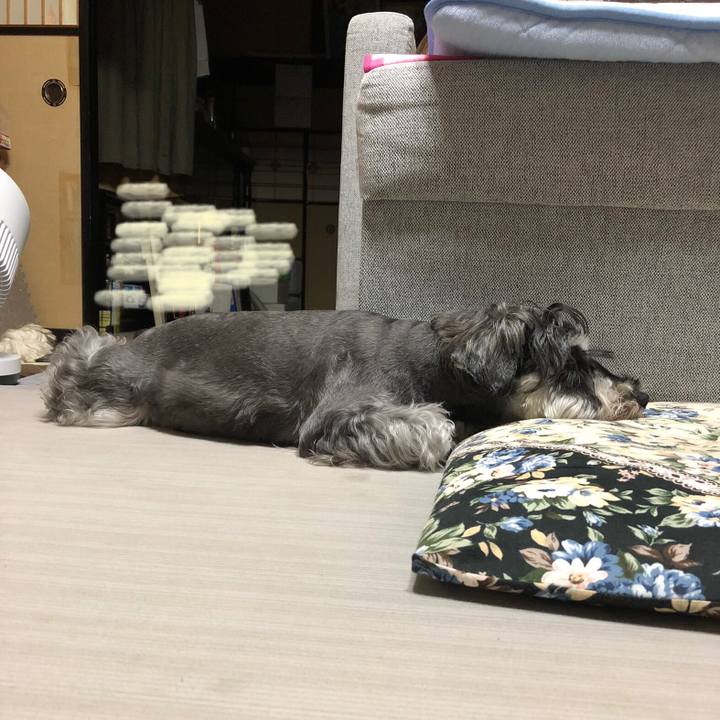 884b8215 fd2f 4521 ae56 83952ff97911 1631875612523