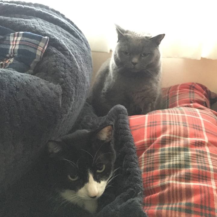 884b92d6 ac42 4dd5 acdb 774219bf0c49 1519083048423