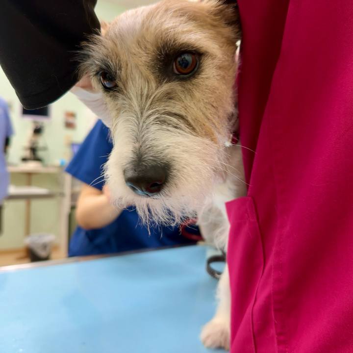 884bb13a 2cb6 4d73 9750 59926f498558 1716798442106