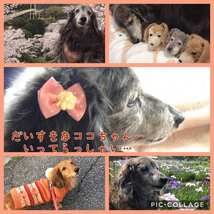 884bbde7 05cf 4d5e ada9 6d93f20e41a5 1518149858068