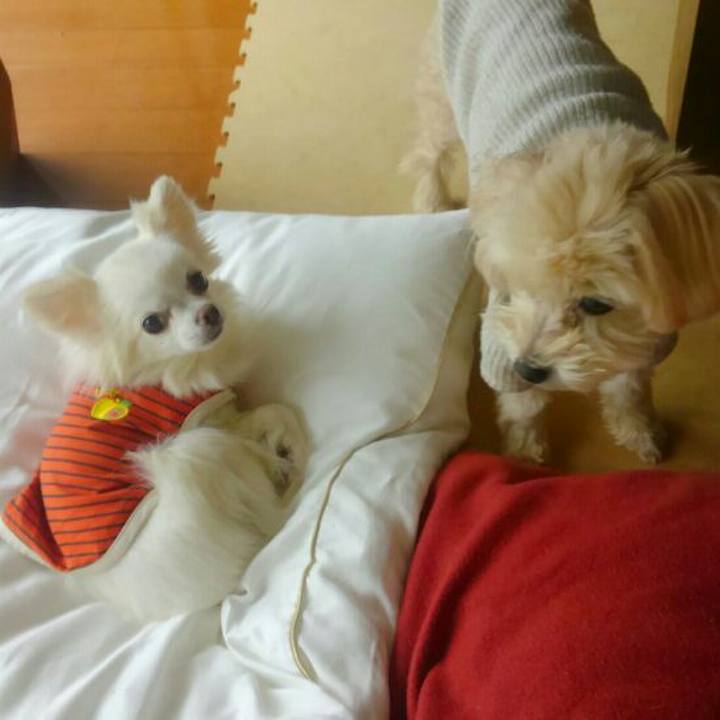 884bce60 8bb4 4902 8d41 774151662eed 1541331377085