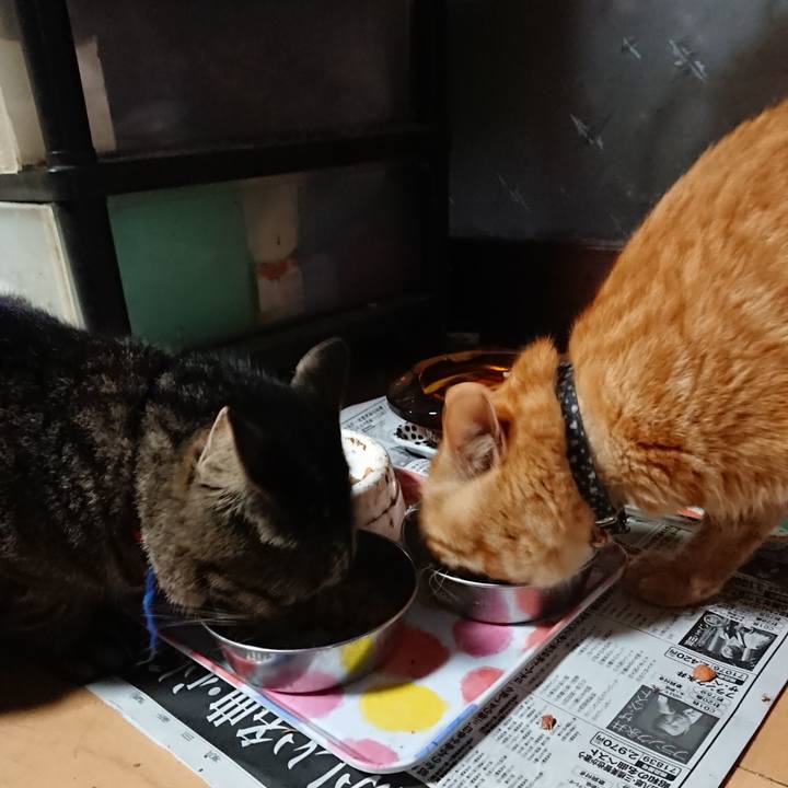 884bd4fd 5b83 4a61 9571 6741962ac55d 1658480542237